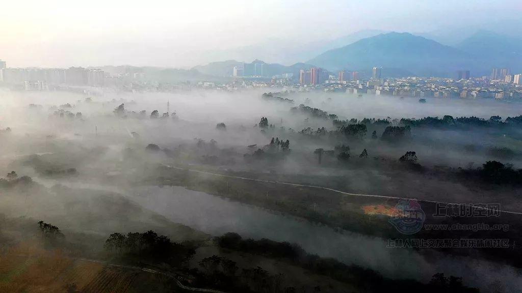 燃烧吧大脑免广告最新版